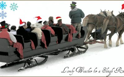 What do YOU do on a Sleigh Ride?